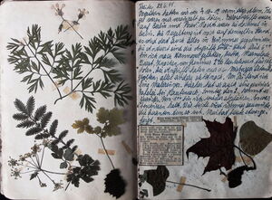 Leinhos, Ursula Tagebuch Nr.14 24.04.1944 09.043.1946 cover