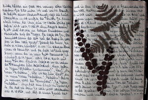 Leinhos, Ursula Tagebuch Nr.17 09.10.1948 08.12.1949 cover